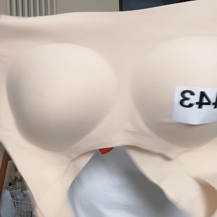 三醋酯纤维XL码数443