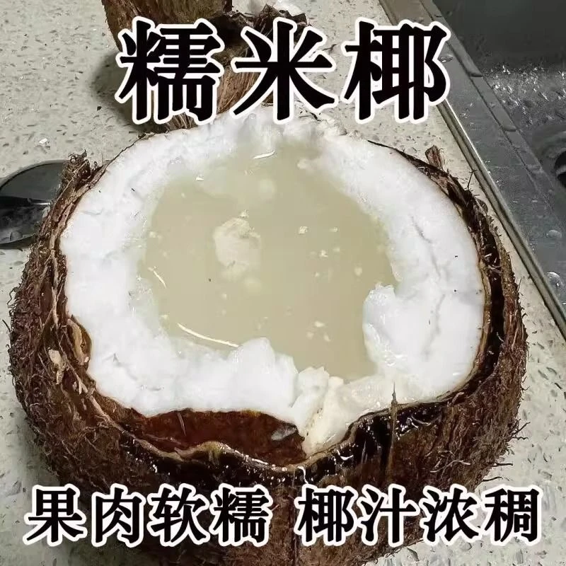 当季新鲜泰国糯米椰600-900g重椰子泰式甜品绵软糯叽叽水果