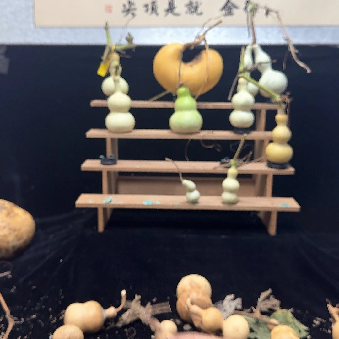 秦***阁定向定向定向定向