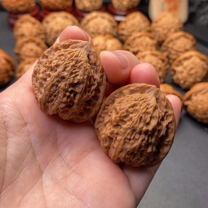 文玩核桃把件34尺野狮子王野核