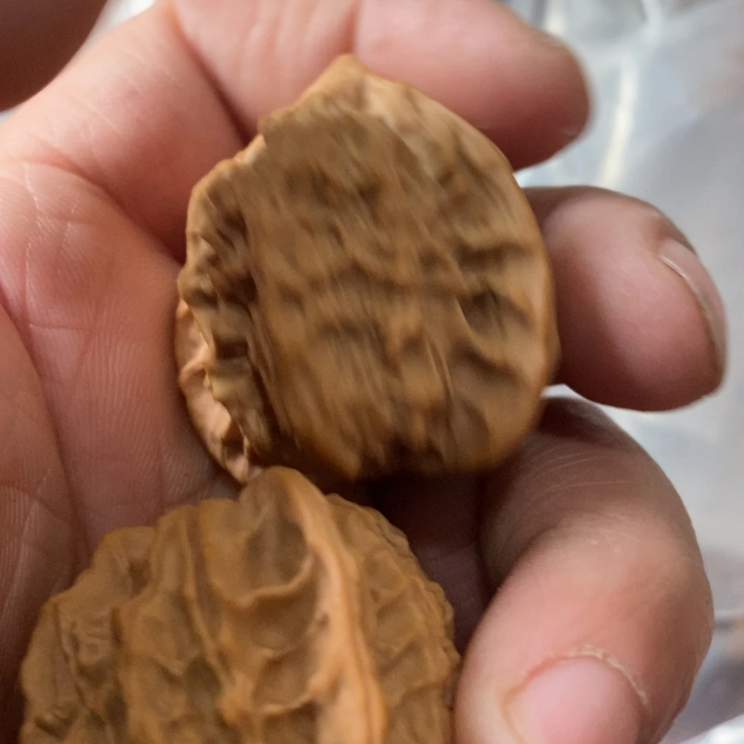 秦岭南侧和秦岭北