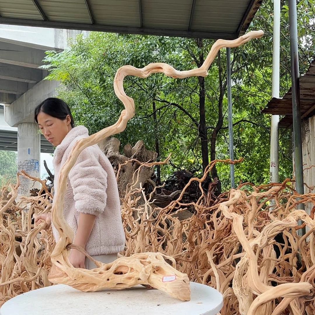 文***武木我的小姐姐们可以一起杜鹃