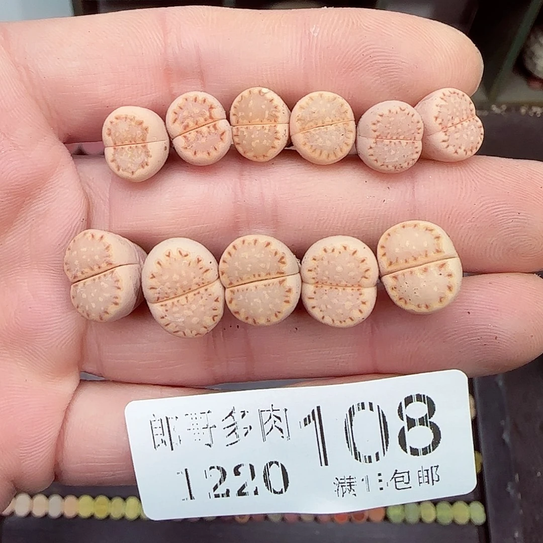满满18包邮1220-108