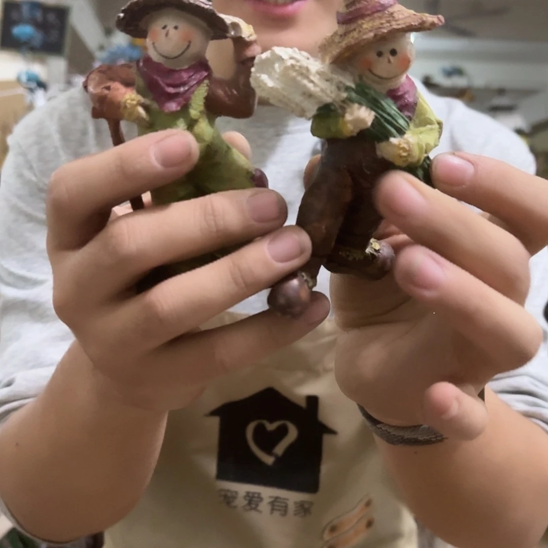 核桃木/黑胡桃（胡桃木）