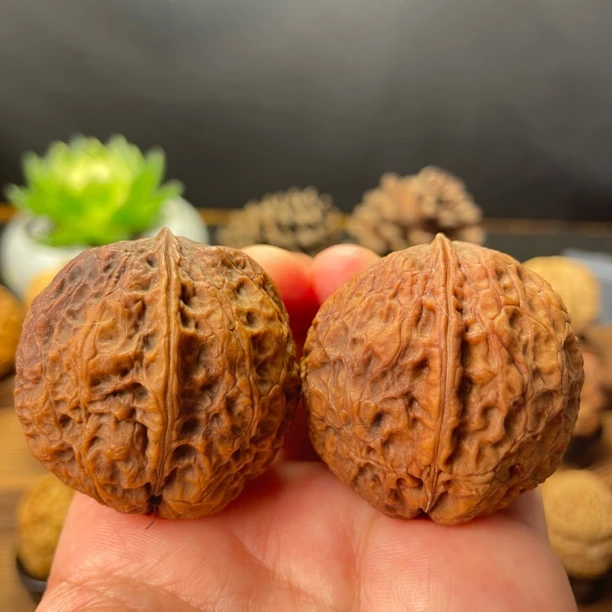 40尺寸  罗汉佛手（云南铁核桃一物一图产地直发）