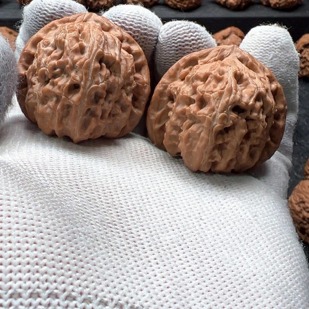 文玩核桃把件张**。白狮子