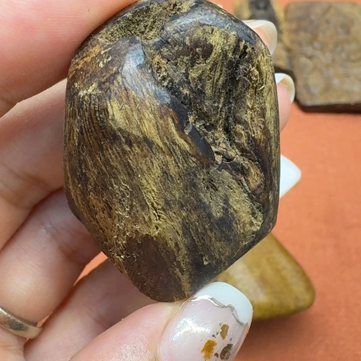 大叶紫檀（黑酸枝木类）