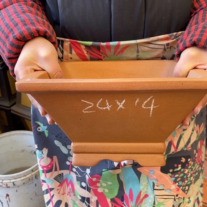 紫砂花盆只顾吃药睡