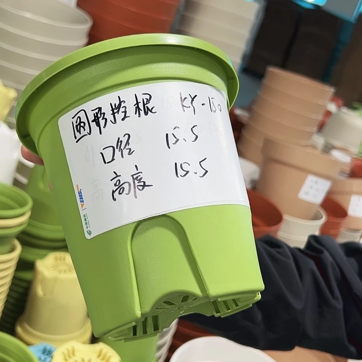 正品圆控口15高15果绿无托10只