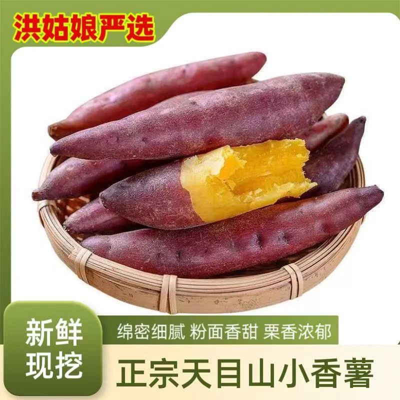 正宗天目山小香薯板栗味红薯蔬新鲜现挖软糯香甜黄心农家番薯山芋