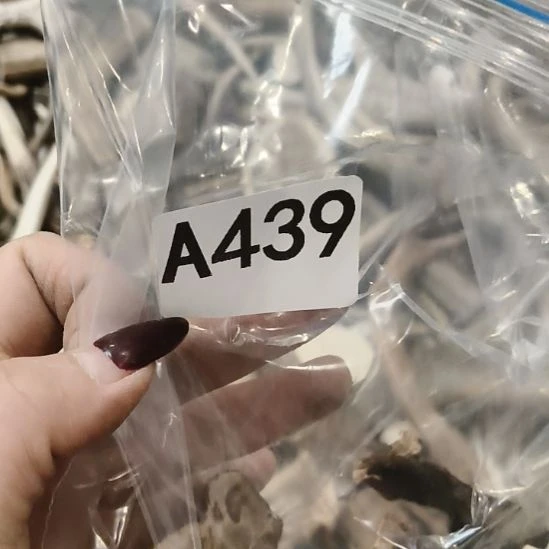 开****鹿角鹿角鹿角鹿角鹿角