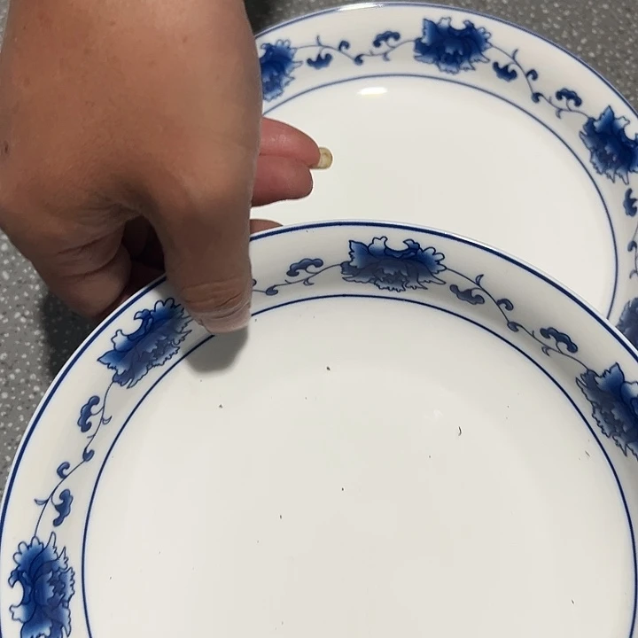 其它陶瓷8寸饭盘两个