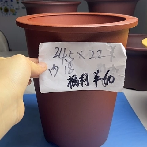 紫砂385586555556554465555