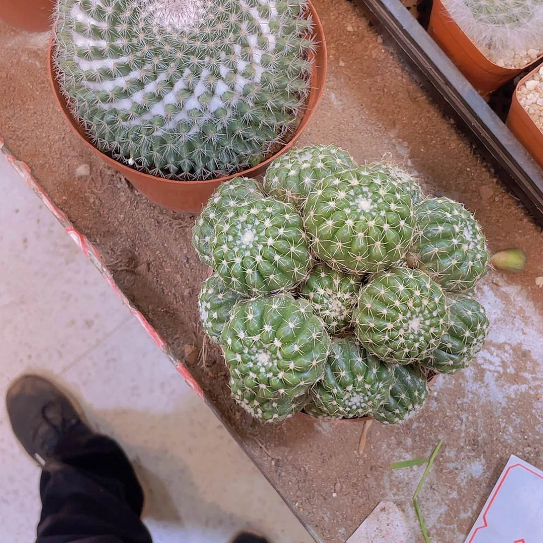 无花朵小**婆顺风顺水！顺风顺水