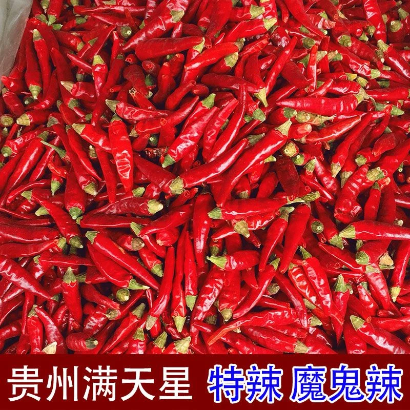 满天星干辣椒 又香又辣贵州辣椒炒菜干锅香锅小米辣