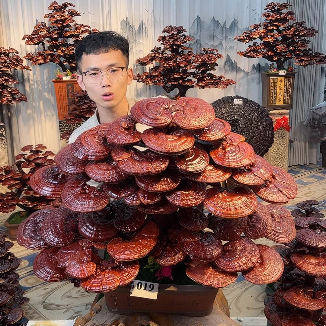 一***³无花朵88888888888