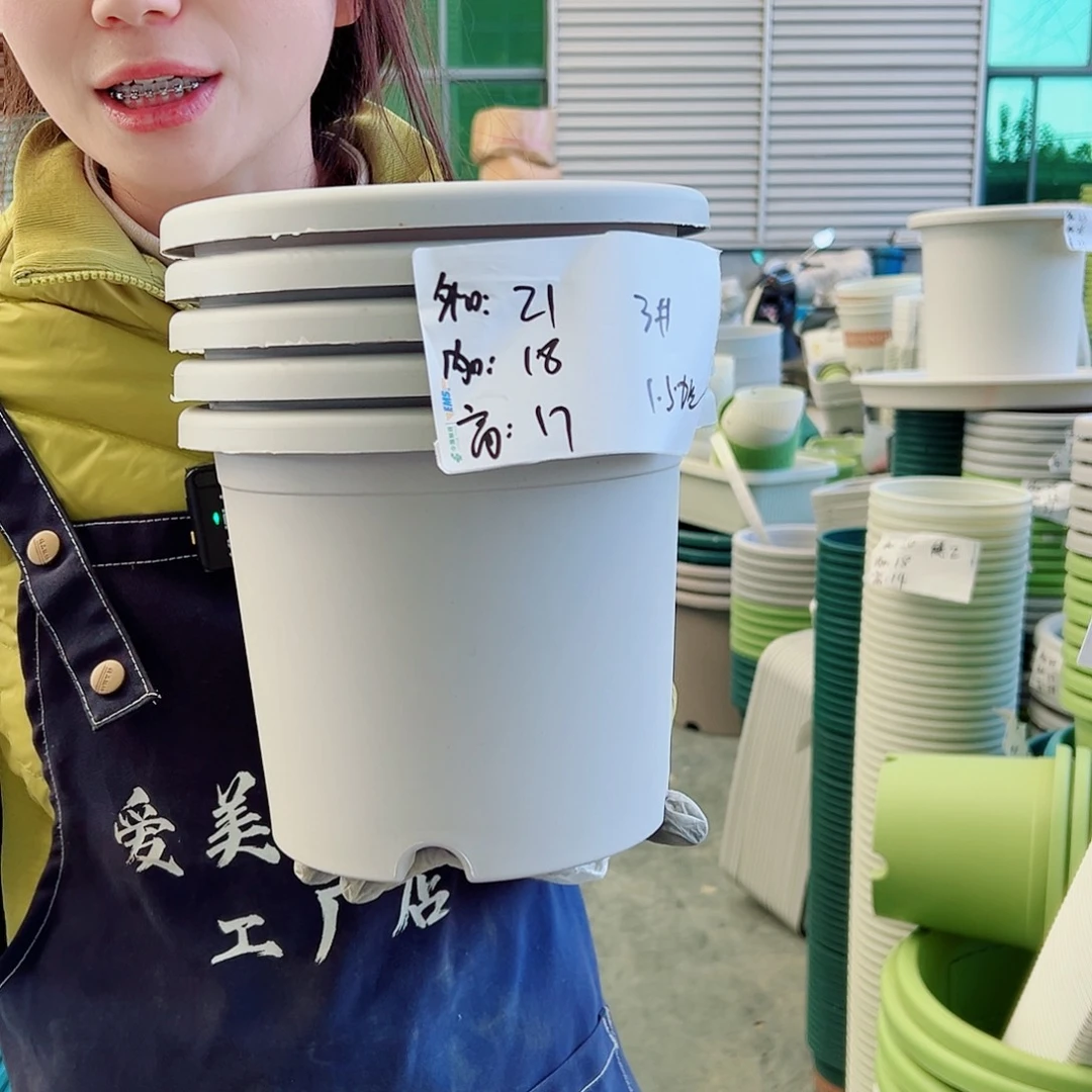 四季盆3#灰白10个无托