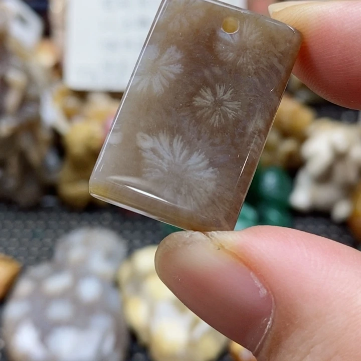 硅化珊瑚（珊瑚玉）颈饰未镶嵌