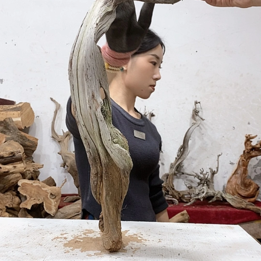 【闪购商品】柏木传*人我们都是好孩子