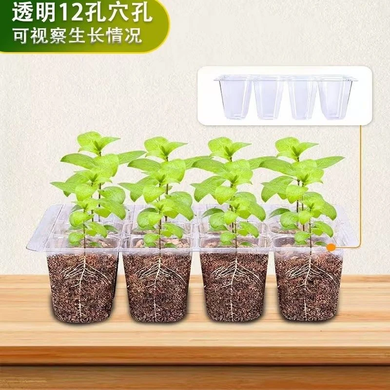 12育苗加高盒带加厚三件套播种透气扦插神器保温保湿穴盘托盘带盖