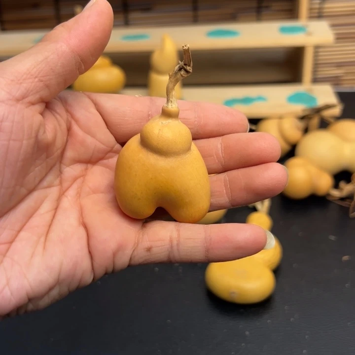 .****关5666666666666699