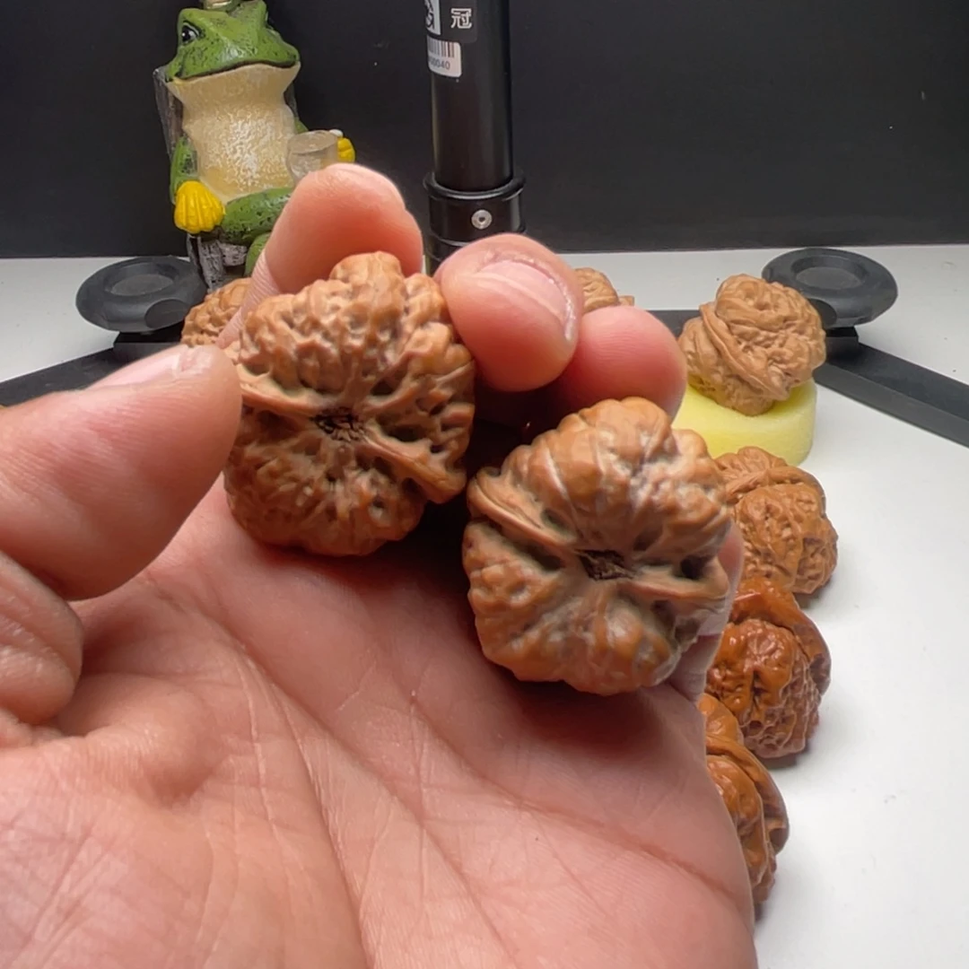 废***心核桃蛤蟆头核桃 34