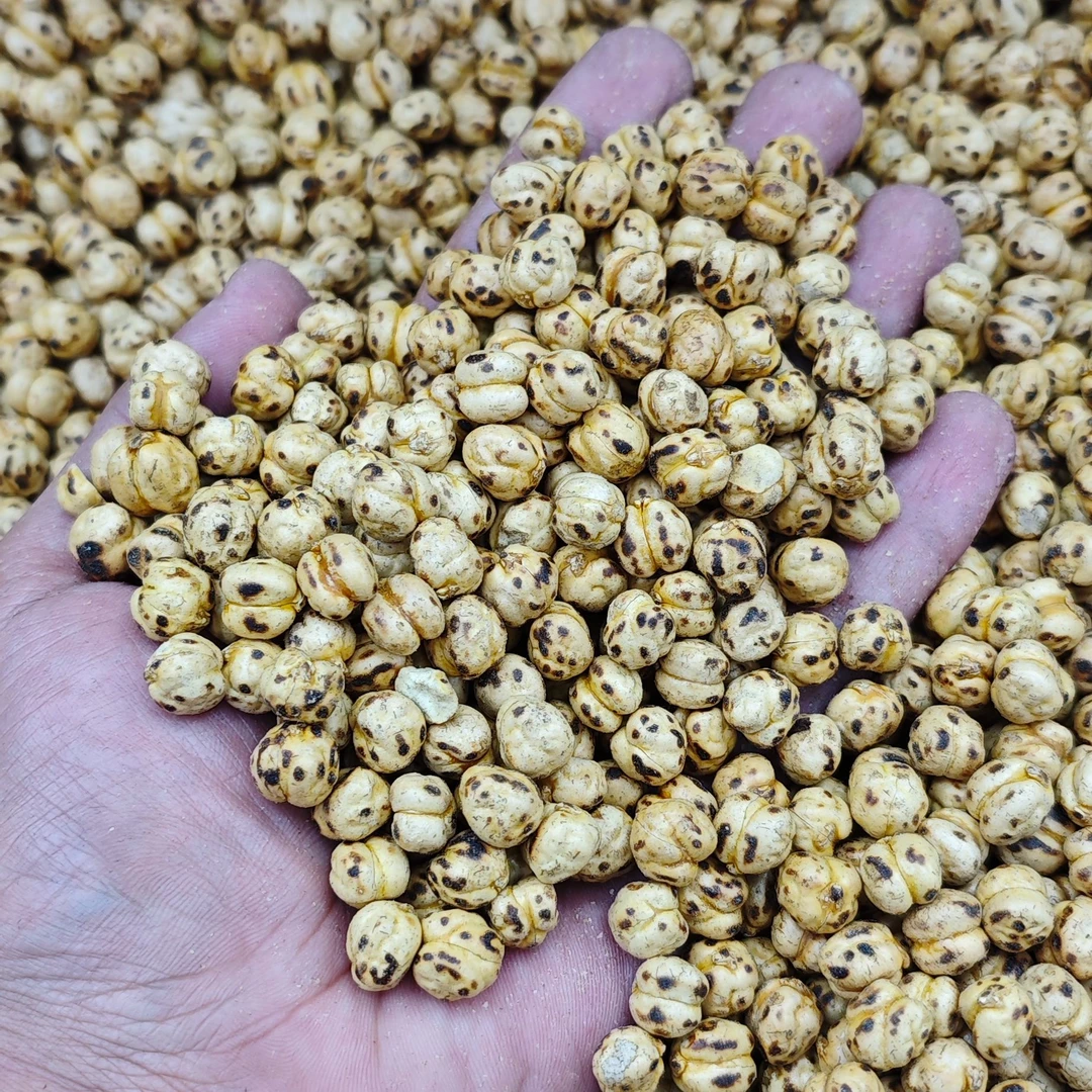 鹰嘴豆（干炒软糯）