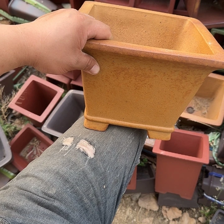 不说你还以为我们俩