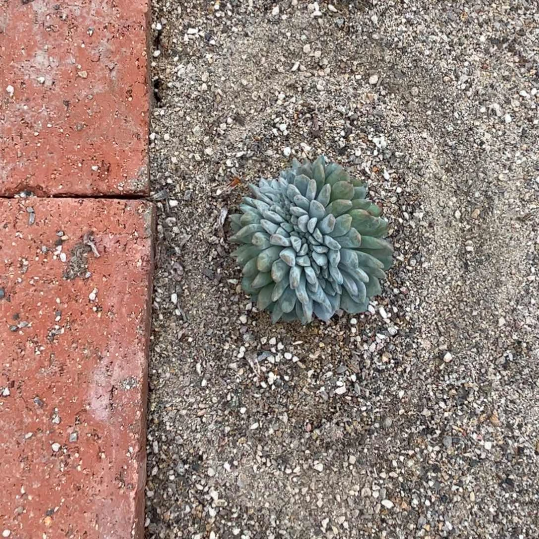 丌*地地道道的点点滴滴