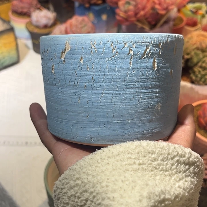 红陶涛*龟我的心好痛啊我的心真的好痛