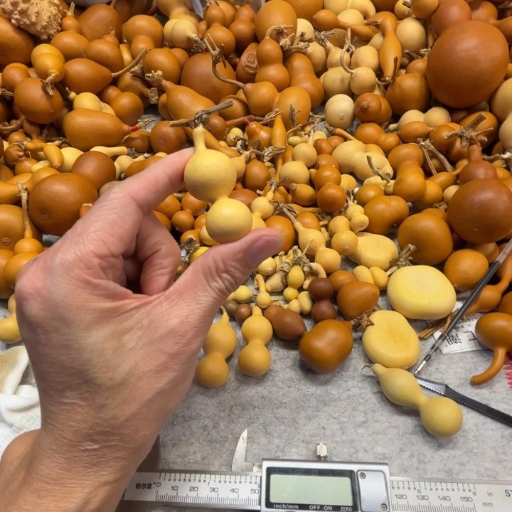 8****螂83岁的一把天津折八宝葫芦