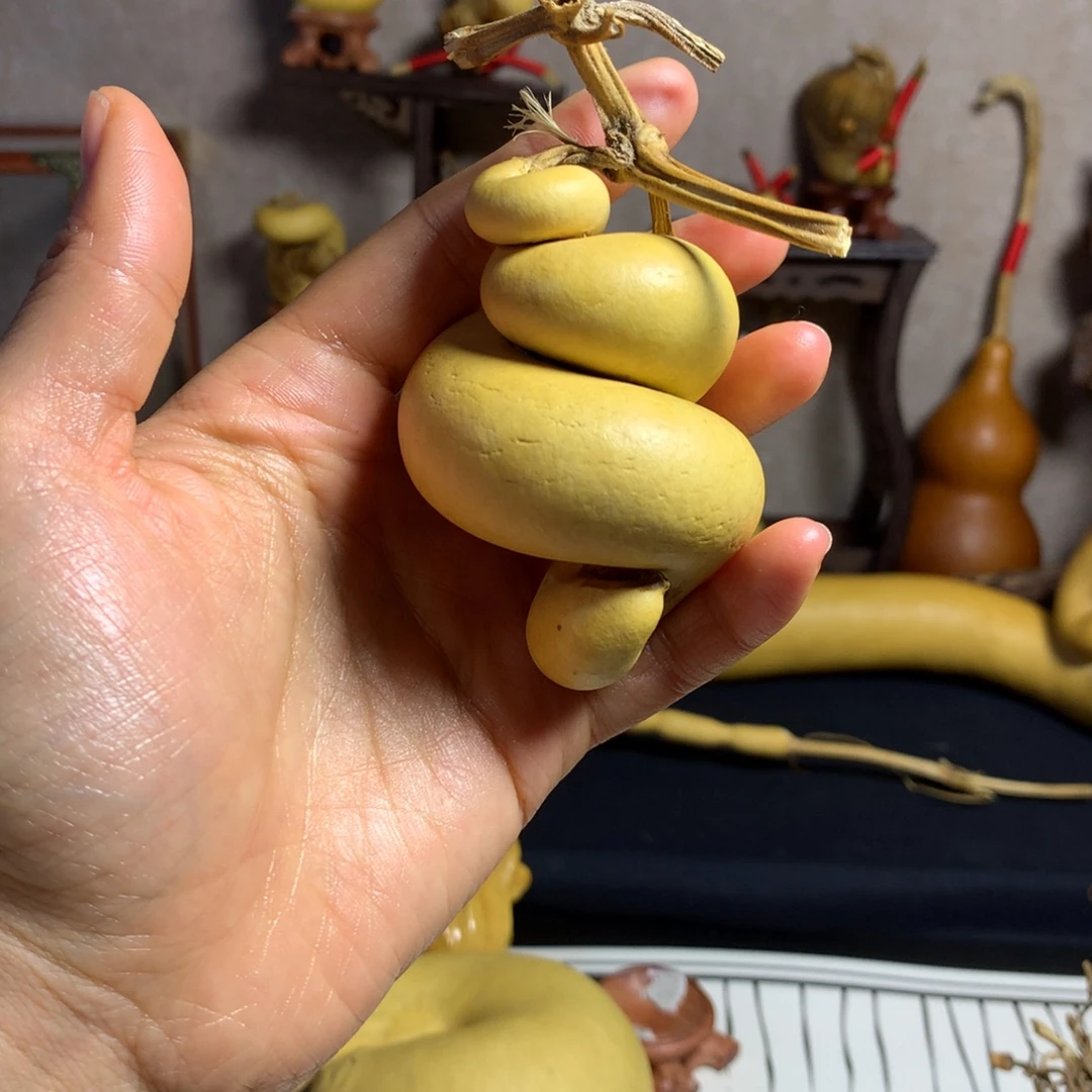 C****葫芦葫芦真的好可爱啊