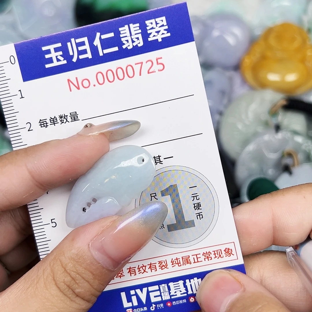 翡翠未镶嵌颈饰111