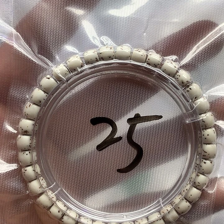 星月菩提把件星月