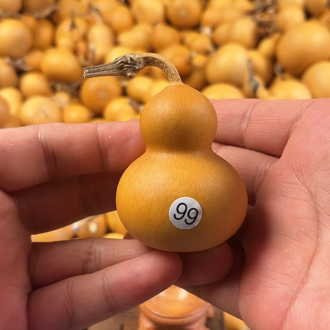 五葫芦葫芦葫芦葫芦99