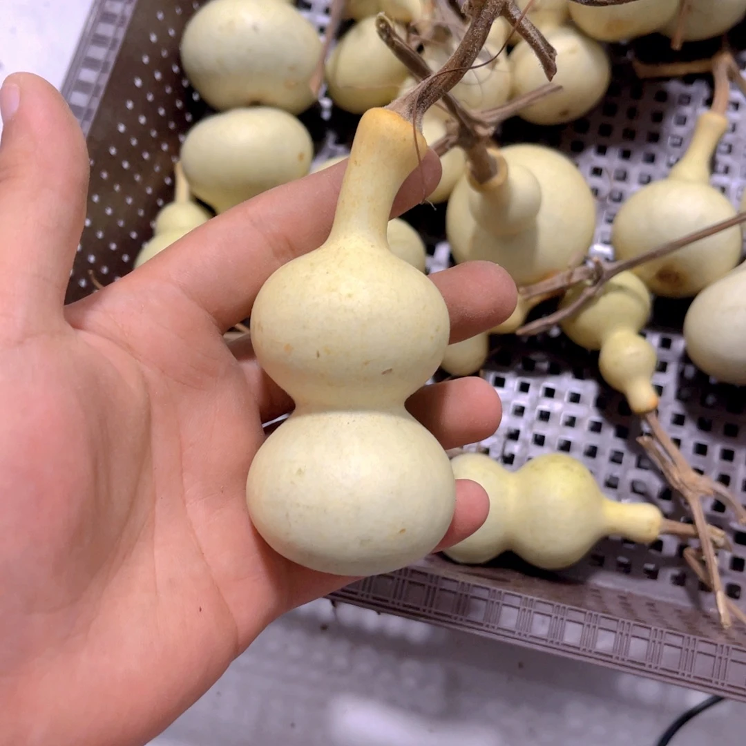 笑***杰感谢大哥支持兄弟不保