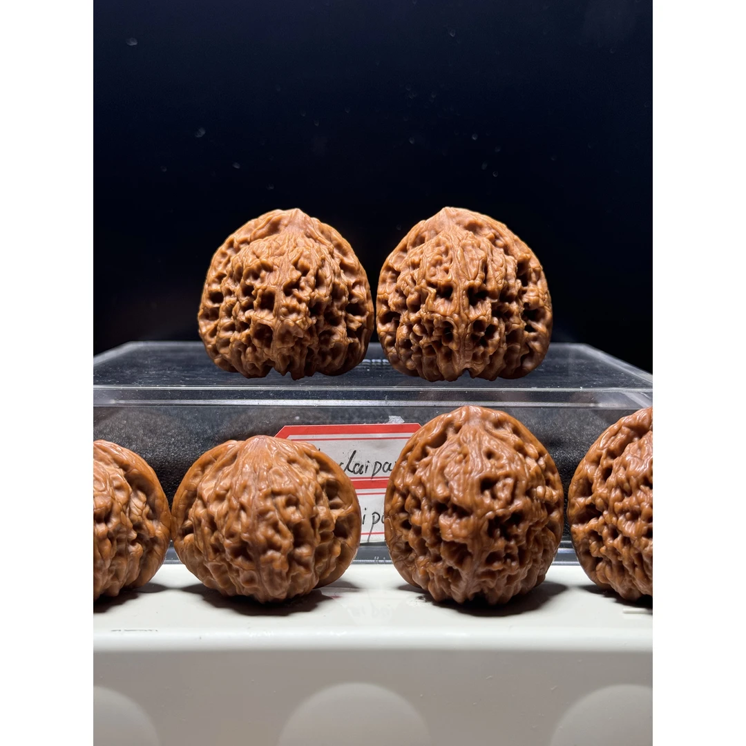 红皮三角万字纹南疆回血有黄点424340