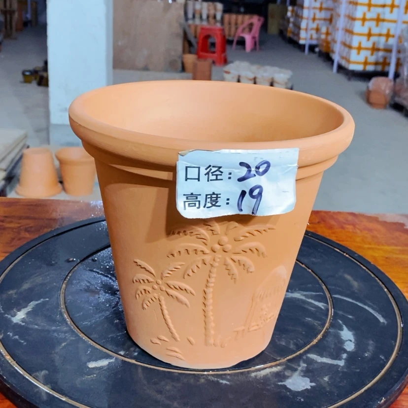 【闪购商品】椰树20×19-1