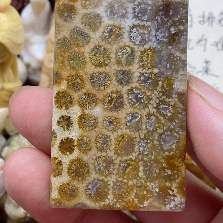 颈饰未镶嵌硅化珊瑚（珊瑚玉）有瑕