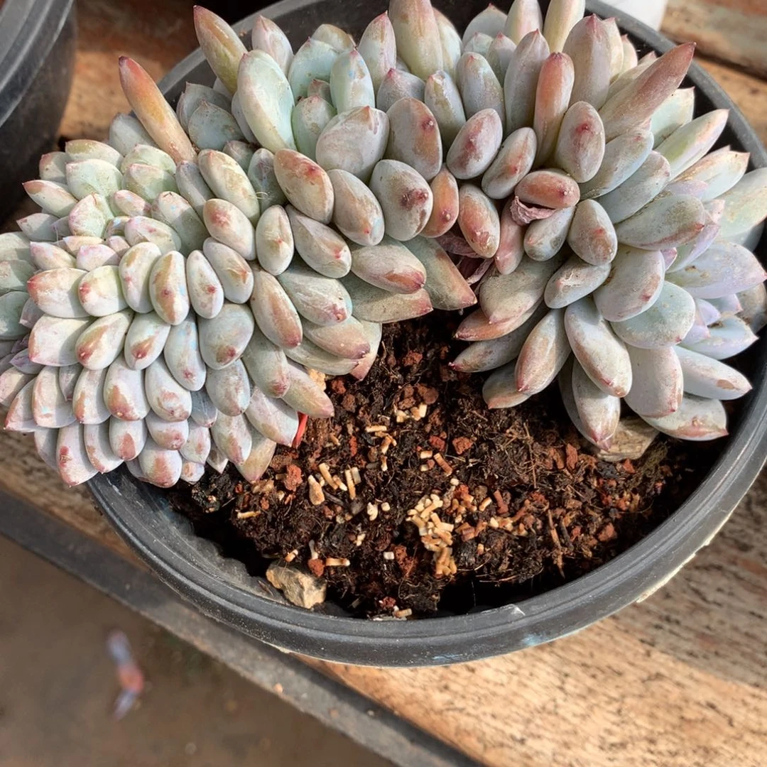 哈哈哈哈哈哈哈哈哈