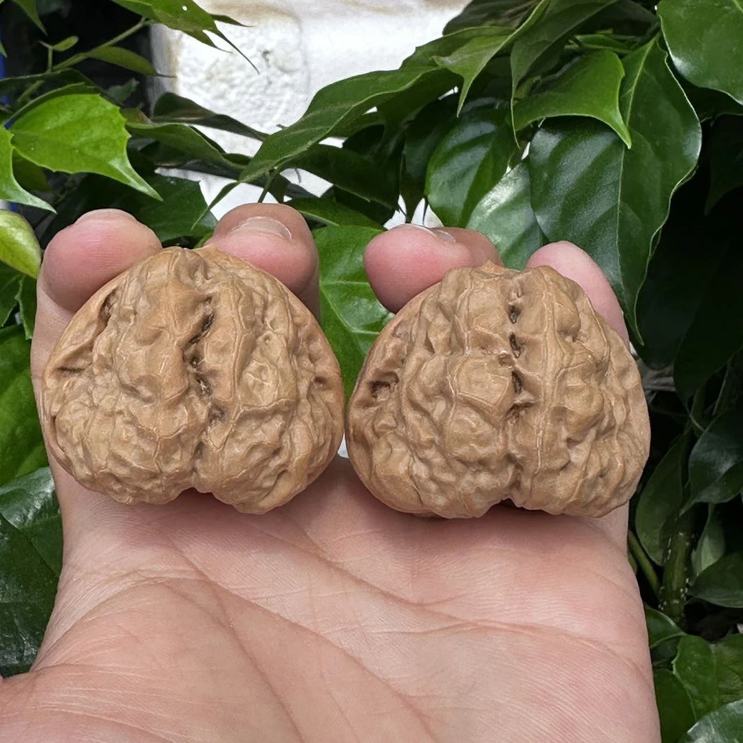 【老胡严选】8 G37205-延庆山地蛤蟆头核桃-尺寸40mm-