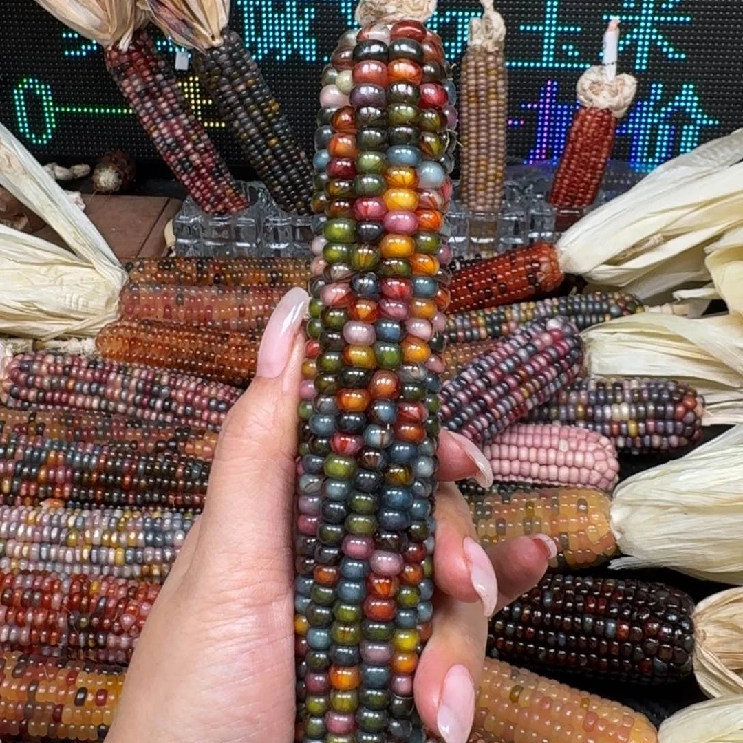 柏香籽/百香籽吊坠小*