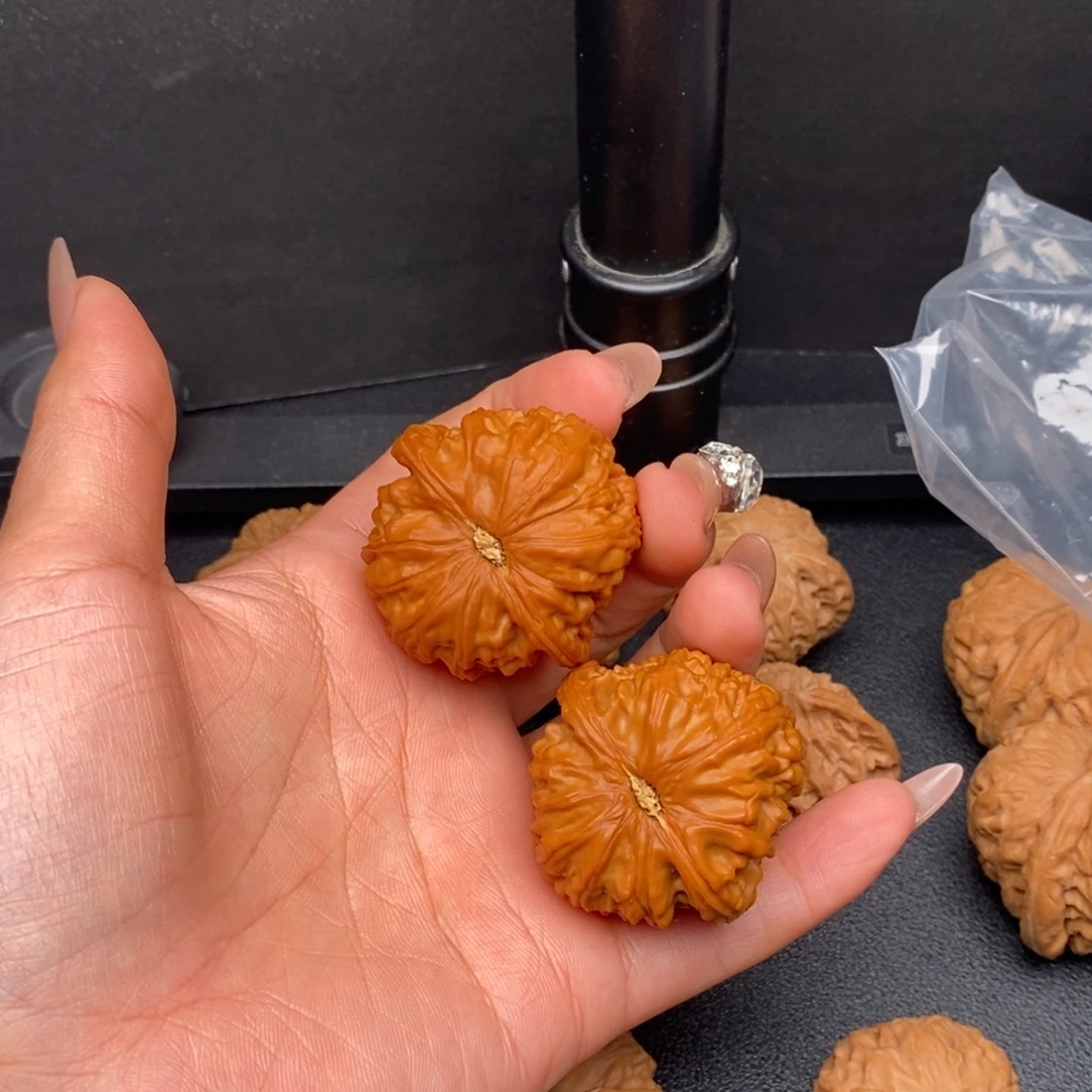 @***凯文玩核桃把件40白狮子