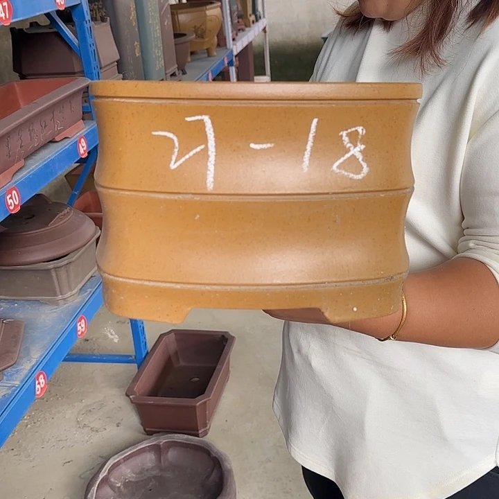 紫砂花盆是一个充满生机