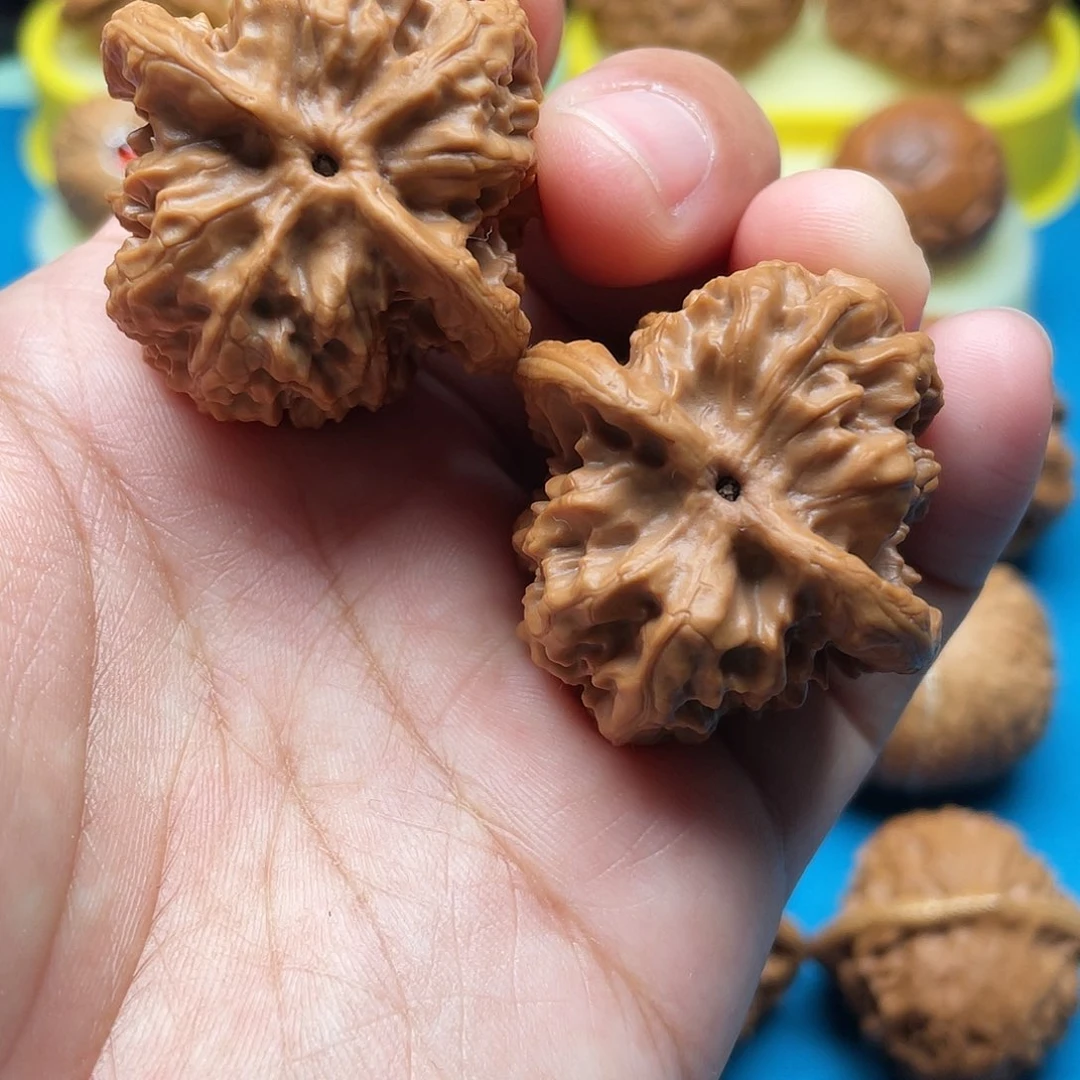 文玩核桃把件野狼36