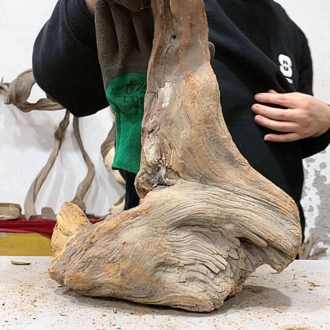 【闪购商品】柏木万**云我们都是好孩子