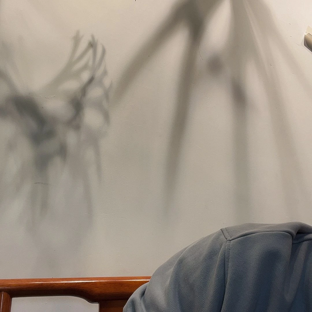 热带鱼不分公母鱼眼镜A**i