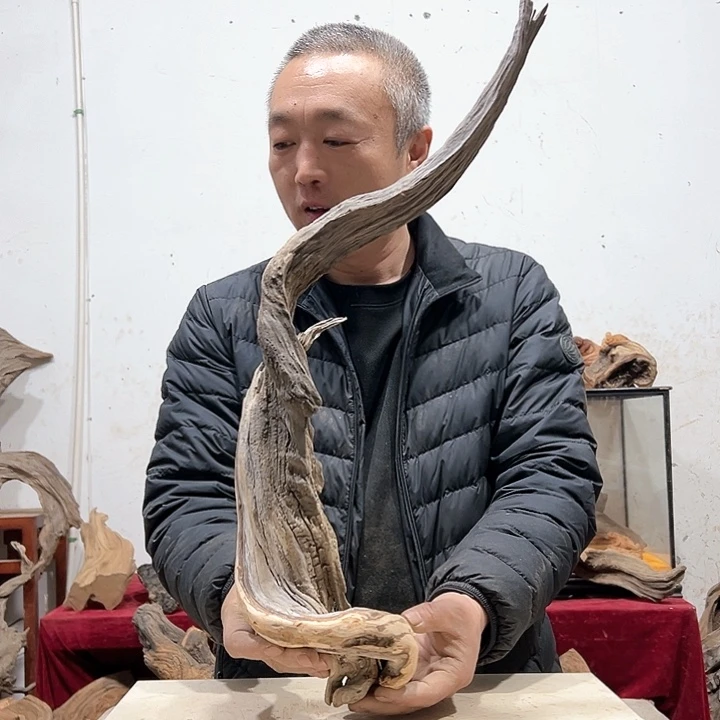 柏木(****噻我们的生活也是