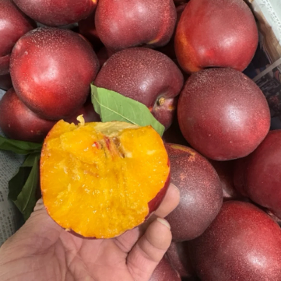 山东满天星油桃一份约1000克山东省