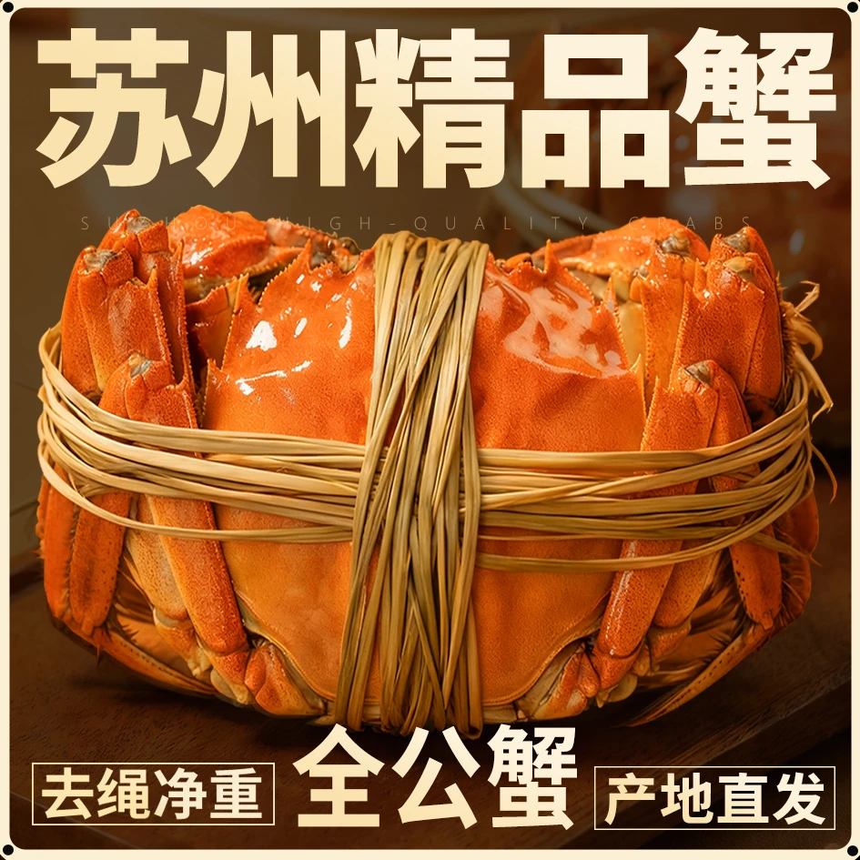 达【活蟹】精品大闸蟹 全公蟹6.0-5.7两 10只装高标准自家养殖